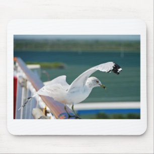 Seagull.JPG マウスパッド