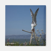 Seagull Magnet マグネット (正面)