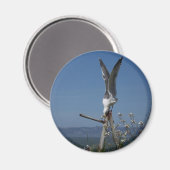 Seagull Magnet マグネット (正面/裏面)