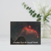 Seagull Nebula Postcard ポストカード (スタンド正面)