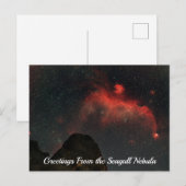 Seagull Nebula Postcard ポストカード (正面/裏面)