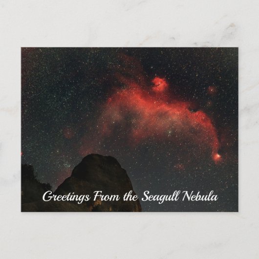 Seagull Nebula Postcard ポストカード (正面)