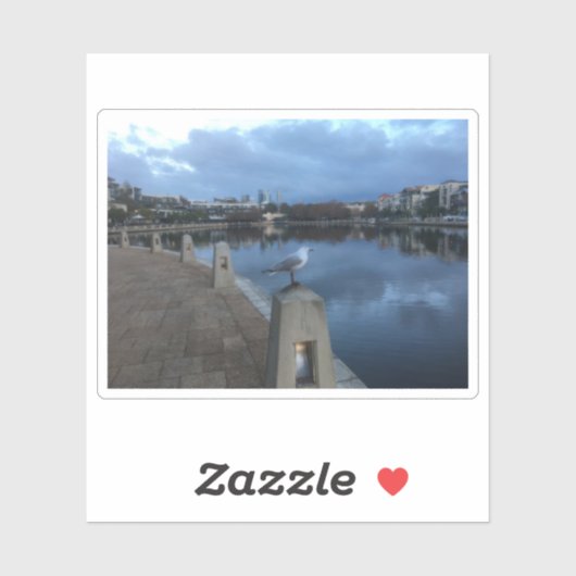 Seagull Photo シール (シート)