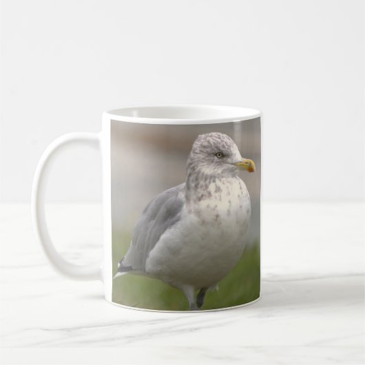 Seagull Photo Mug コーヒーマグカップ (左)