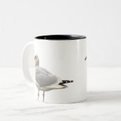 Seagull Photo Mug ツートーンマグカップ (正面左)