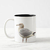 Seagull Photo Mug ツートーンマグカップ (左)