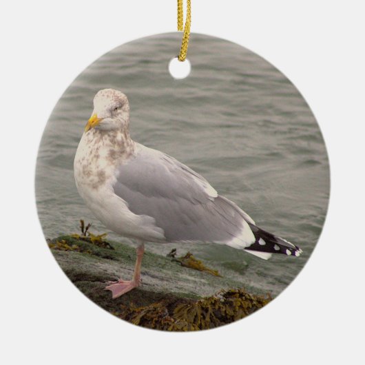 Seagull Photo Ornament セラミックオーナメント (正面)