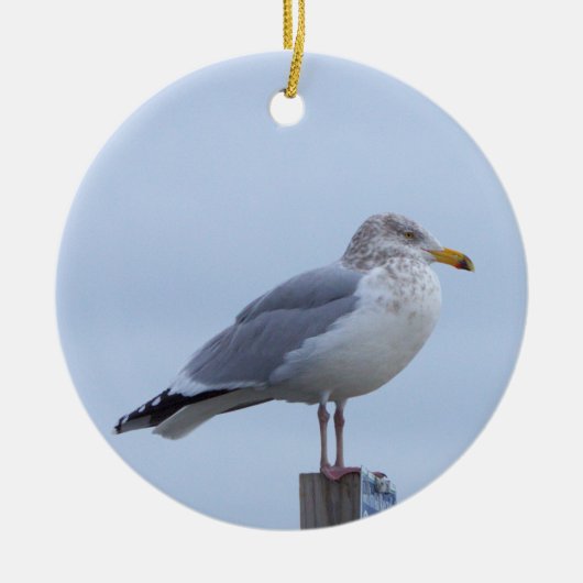 Seagull Photo Ornament  セラミックオーナメント (正面)