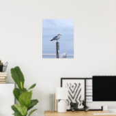 Seagull Photo Poster  ポスター (ホームオフィス)