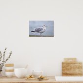 Seagull Photo Poster ポスター (キッチン)