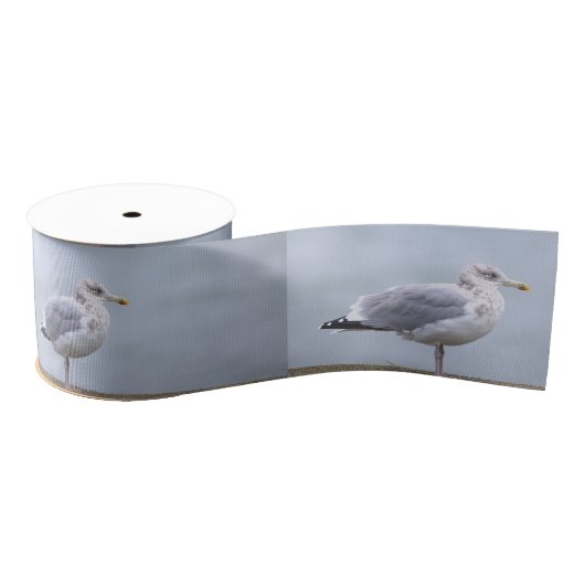 Seagull Photo Ribbon グログランリボン (リール)