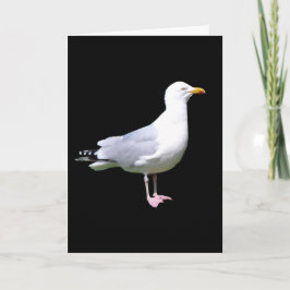 Seagull Standing追加文字グリーティングカード カード