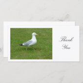 Seagull Walling in the Park – ありがとう サンキューカード (正面/裏面)