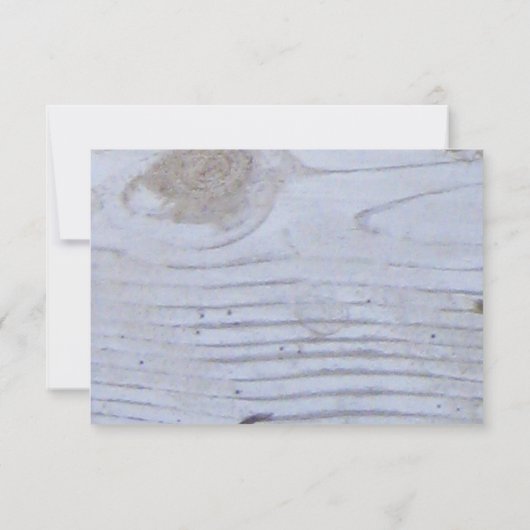 Seagull/Wedding航海の RSVP (裏面)