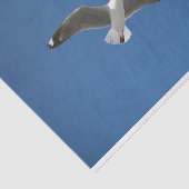 Seagull White Gray Blueインスピレーション写真 薄葉紙 (詳細)