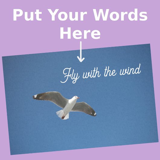 Seagull White Gray Blueインスピレーション写真 薄葉紙