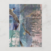 Seagulls list of birds mixed media collage ポストカード (正面)