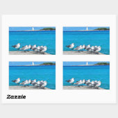 Seagulls, Nassau, Bahamas  長方形シール (シート)