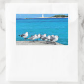Seagulls, Nassau, Bahamas  長方形シール (バッグ)
