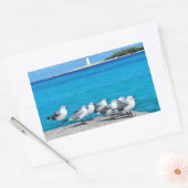 Seagulls, Nassau, Bahamas  長方形シール (封筒)