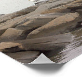 Seagulls on Rocks Poster ポスター (角)