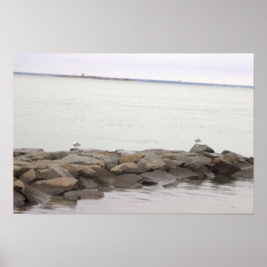 Seagulls on Rocks Poster ポスター (正面)