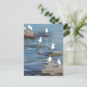 Seagulls Perch, A Seagulls PerchDulth, MN   社 ポストカード (スタンド正面)