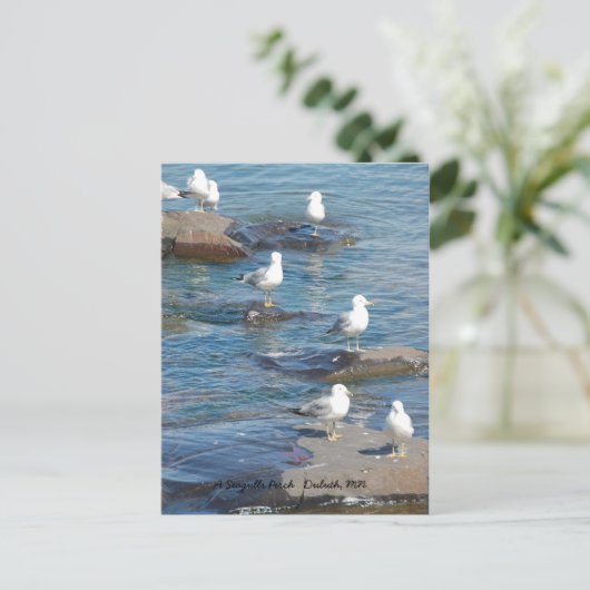 Seagulls Perch, A Seagulls PerchDulth, MN 社 ポストカード (スタンド正面)