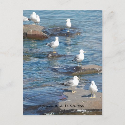 Seagulls Perch, A Seagulls PerchDulth, MN   社 ポストカード (正面)