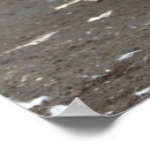 Seagulls Photo Poster ポスター (角)