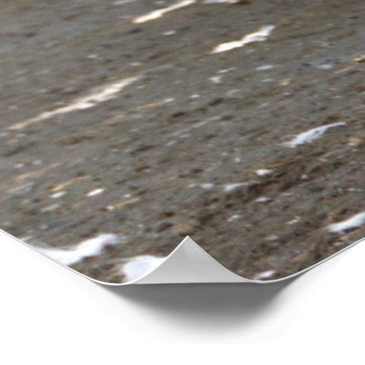 Seagulls Photo Poster ポスター (角)