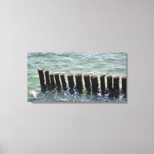 Seagulls Resting on Pilings Canvas Print キャンバスプリント (正面)