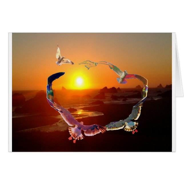 Seagulsの円 (正面横)