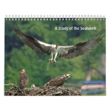 Seahawkの勉強