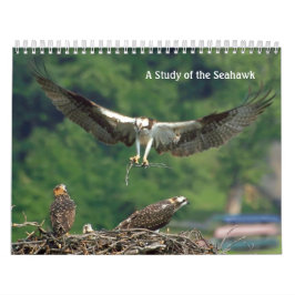 Seahawkの勉強 カレンダー