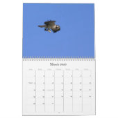 Seahawkの勉強 カレンダー (3月 2026)