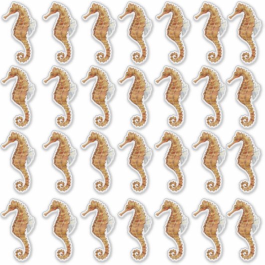 Seahorse 28水色絵を描透明 シール (正面)