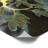 Seahorse poster ポスター (角)