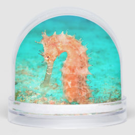 Seahorse tropical carribean turquoise orange 