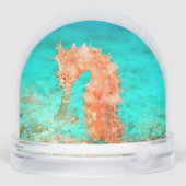 Seahorse tropical carribean turquoise orange  (裏面)