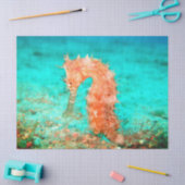 Seahorse tropical carribean turquoise orange  薄葉紙 (クラフト)