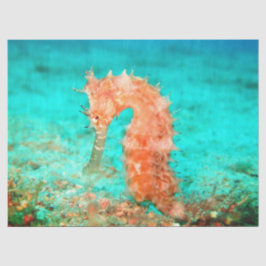 Seahorse tropical carribean turquoise orange  薄葉紙