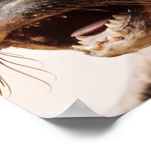 seal style ポスター (角)