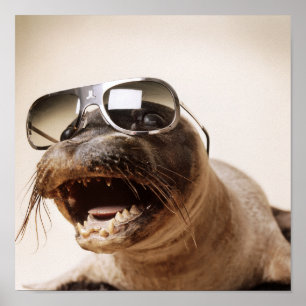 seal style ポスター