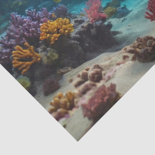 Seal Underwater Decoupage 薄葉紙 (詳細)