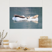 Seales on Ice ポスター (キッチン)