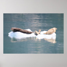 Seales on Ice ポスター