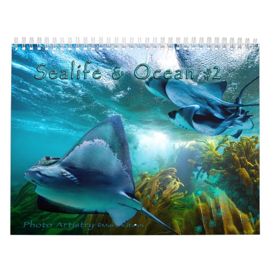 SEALIFE AND OCEAN ART #2 Calendar カレンダー (カバー)