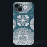 Sealife Blueprint IV iPhone 13ケース<br><div class="desc">Marine Life</div>