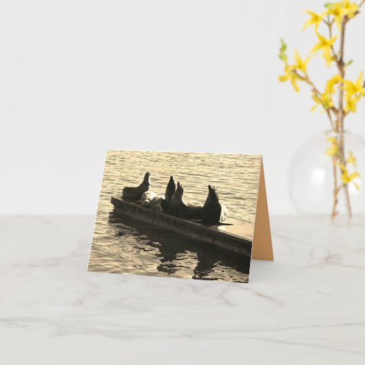 Seals by the Sea カード (黄色い花)